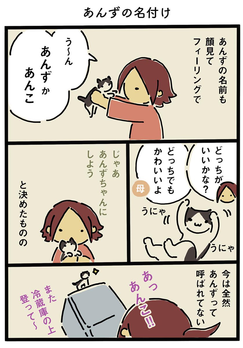 イワコ 猫マンガ 噛み癖の話と名付けの話 猫 エッセイ漫画 猫マンガ 猫好きさんと繋がりたい