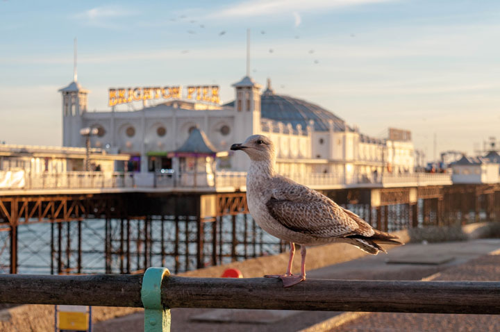Wer noch nicht in Brighton war, sollte dies unbedingt machen: Die kleine Schwester von London ist genauso eine Reise wert wie die Hauptstadt.😍
boalingua.ch/de/blog/gruend…

#brighton #reisetipps