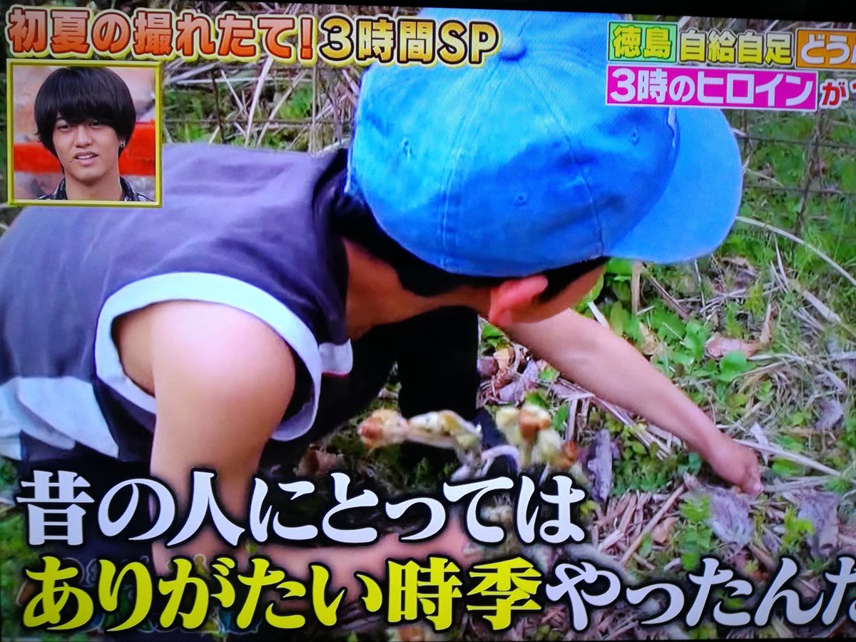 ゆかりん On Twitter 海人にも廣川家ホームステイに行ってほしーなー 次男坊が廣川家大好きで消せない 容量 坂上どうぶつ王国 髙橋海人