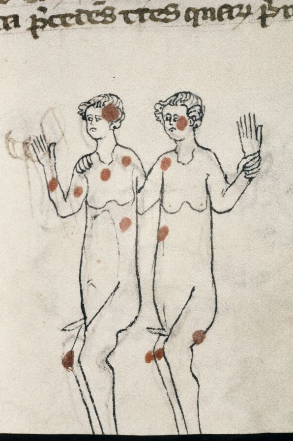 This is the first medieval image of erections I've ever seen, and I think it's not insignificant that it's an image of two men together. (Bodleian Library, MS Rawl. C. 117, f. 150r)