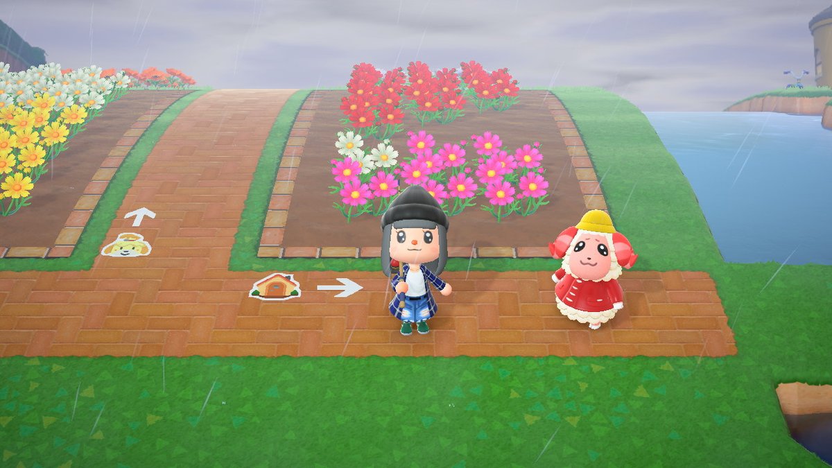 glassesgroup's tweet photo. ついにちゃちゃまるに会えました！ #どうぶつの森 #AnimalCrossing #ACNH #NintendoSwitch https://t.co/OaWNsZEAv0
