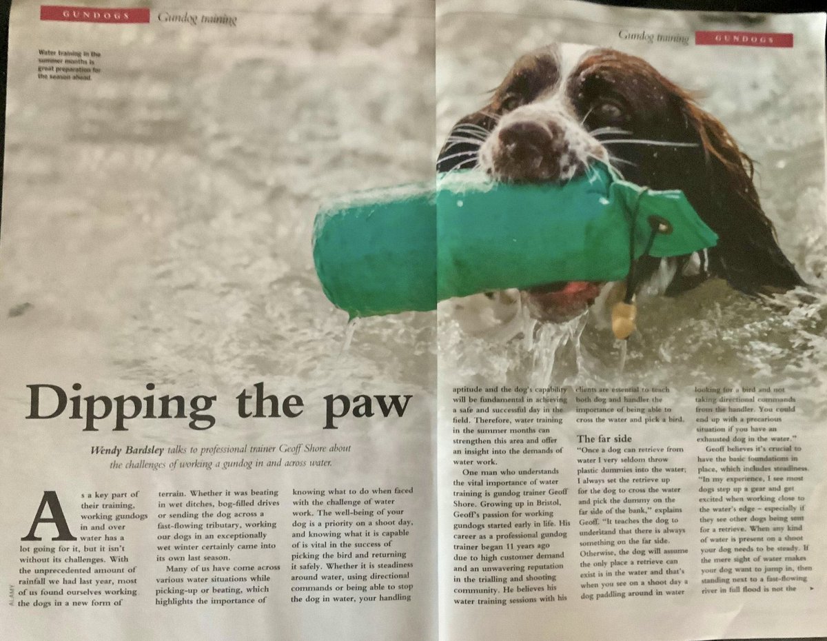 Really enjoyed chatting to <a href="/geoffshore1/">geoff shore</a> about the challenges of working a gundog in and across water. #gundogs galore in #July issue @ShootingGazette  #biddablebardsley #gundog #writer tinyurl.com/y74jeuh5