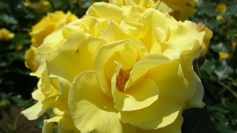 kamisama_kotoba's tweet image. A person who simply knows, &apos;My life is worth trust,&apos; becomes happy.

「人生は信頼に足る」と単に知ってる人は幸せになります。
#trust #信頼 #entrust #委ねる