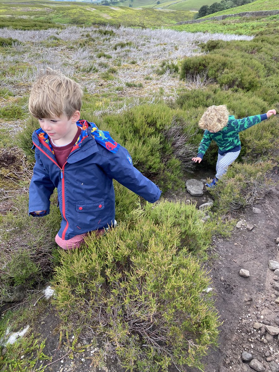 Broad26C's tweet image. We made it to Harry Hut @NewMillsPrimary! A great first hill for little legs! #trigpointchallenge
