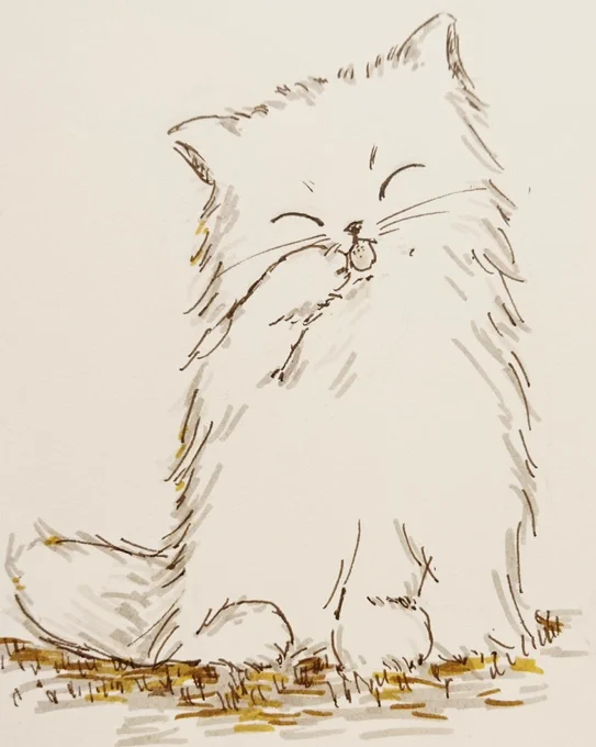 ペンで猫を描く練習③ 最近、猫ばかりになってきています😅 #絵の練習 #お絵描き #猫の絵 #猫イラスト #ペン 
