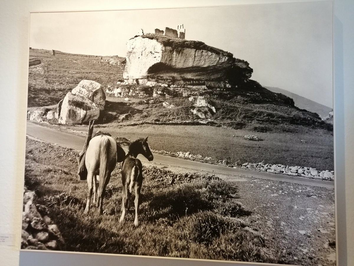 Caterina_Sanna's tweet image. Pre diga.
Ph #MarianneSinPfältzer
#SpazioIlisso Nuoro