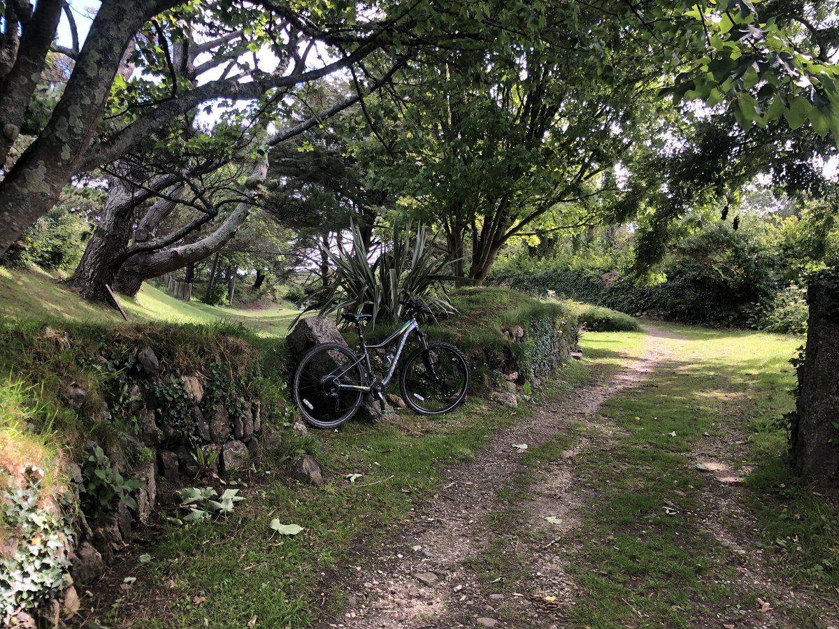 aydeecee12's tweet photo. This mornings bike ride. #mtb #mountainbike #bike #ride #cornwall #chillout #morning #Sunday #weekend #cannondale #fivetens #endura #strava #headspace #nature #June https://t.co/Txvttp7k2v