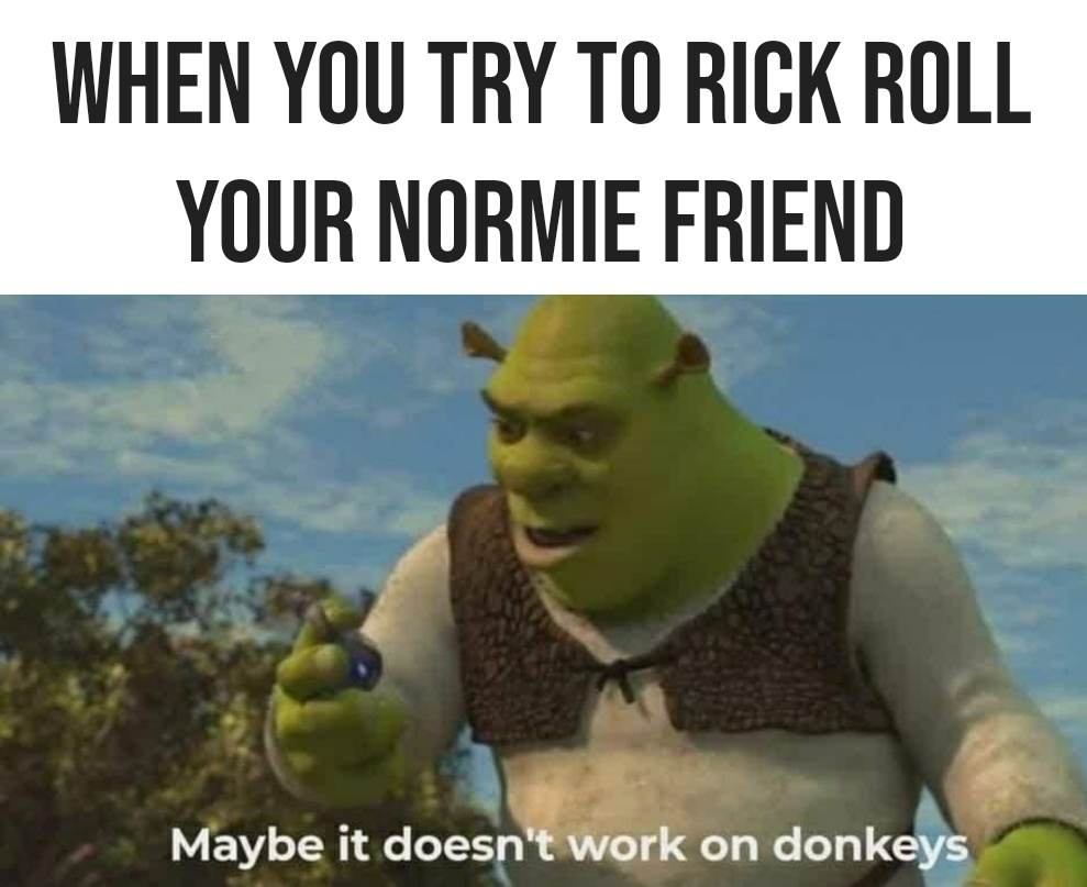 10 Shrek Memes to Roll You