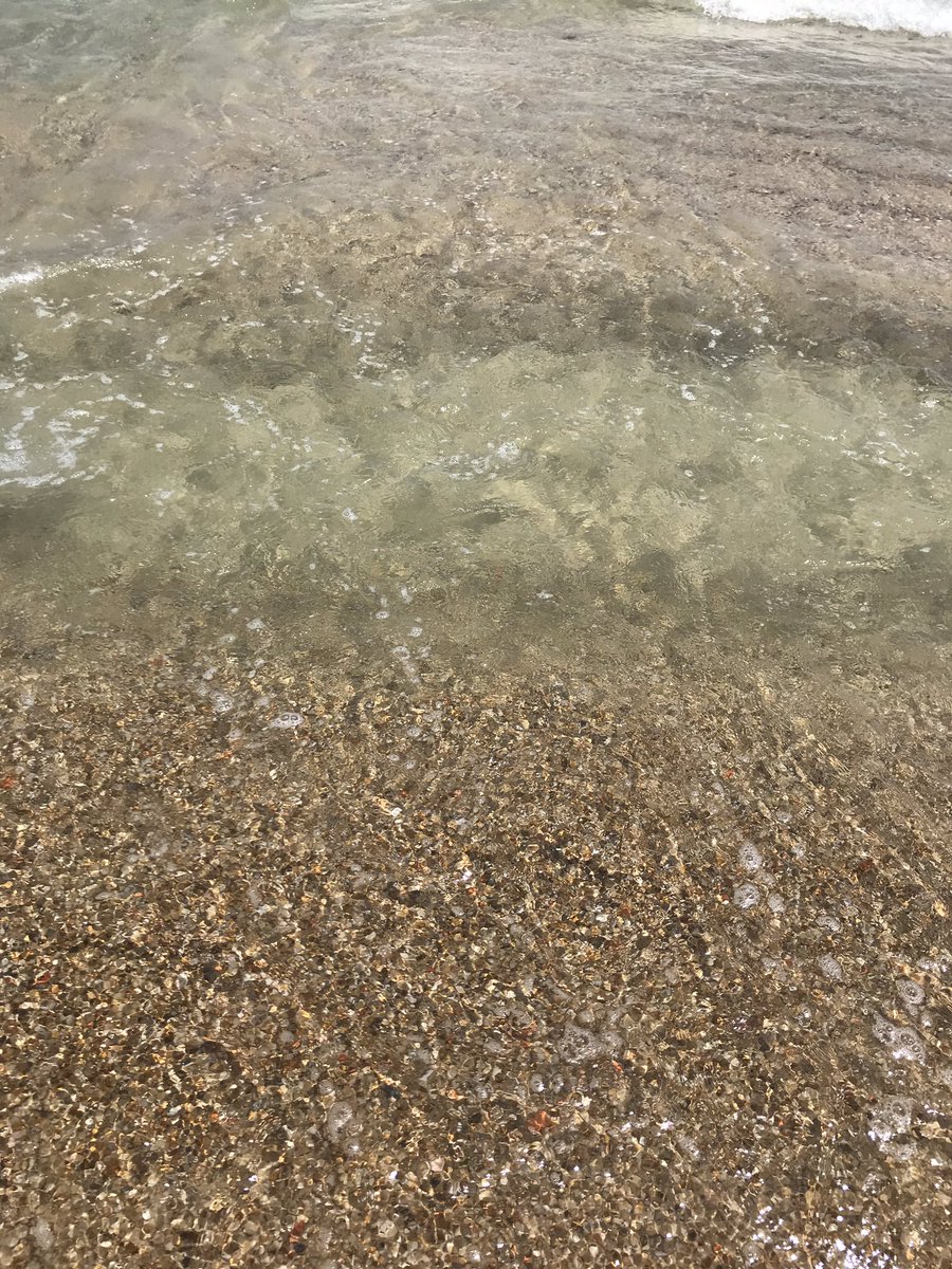 Day 6/7 😉 #mylifeinpictures. No people, no description. Challenge someone everyday. I was challenged by <a href="/selimabenamara/">Selima Ben Amara</a> and to day i challenge <a href="/JebaraDaoud/">Daoud Ben Jebara</a>