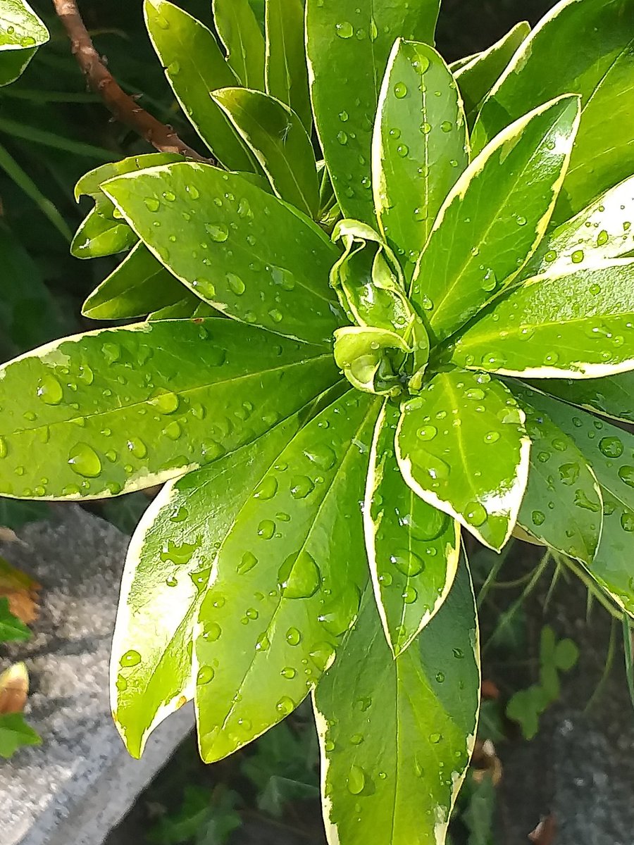 Desynina3's tweet photo. L'acqua è vita https://t.co/BJBKiBakpw