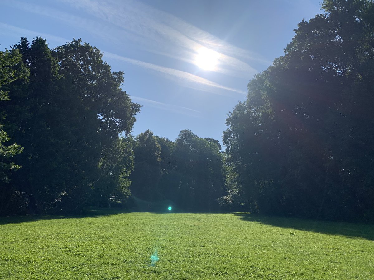 #sonntagstraum Habt es gut, Ihr Twitteroos in der Runde 🤸‍♀️💃🏻🥊