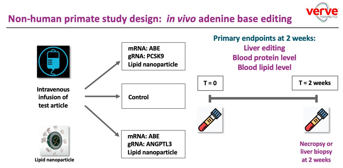 22/Here are the non-human primate data presented by  @skathire on behalf of  @VerveTx in his keynote talk at  #ISSCR2020.