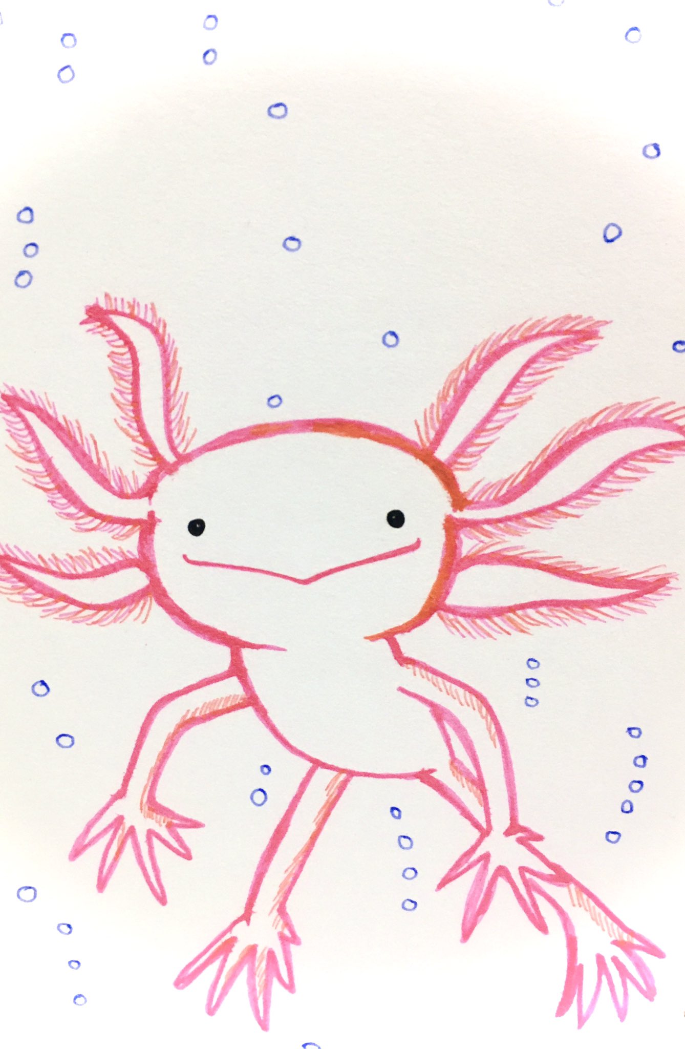 Naaa ウーパールーパー うーぱーるーぱー 手描き アナログ絵 アナログイラスト 毎日 カラフル しりとり 可愛い生き物 水の妖精 T Co Kpdd072r3x Twitter Naaa ウーパールーパー うーぱーるーぱー 手描き アナログ絵 アナログイラスト 毎日 カラフル しりとり 可愛い生き物 水の妖精 T Co Kpdd072r3x Twitter