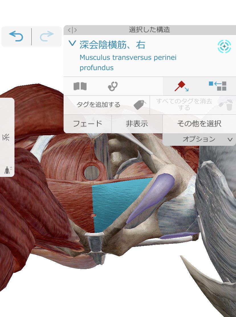 Ysasaky Asasik0107 Twitter Ysasaky Asasik0107 Twitter