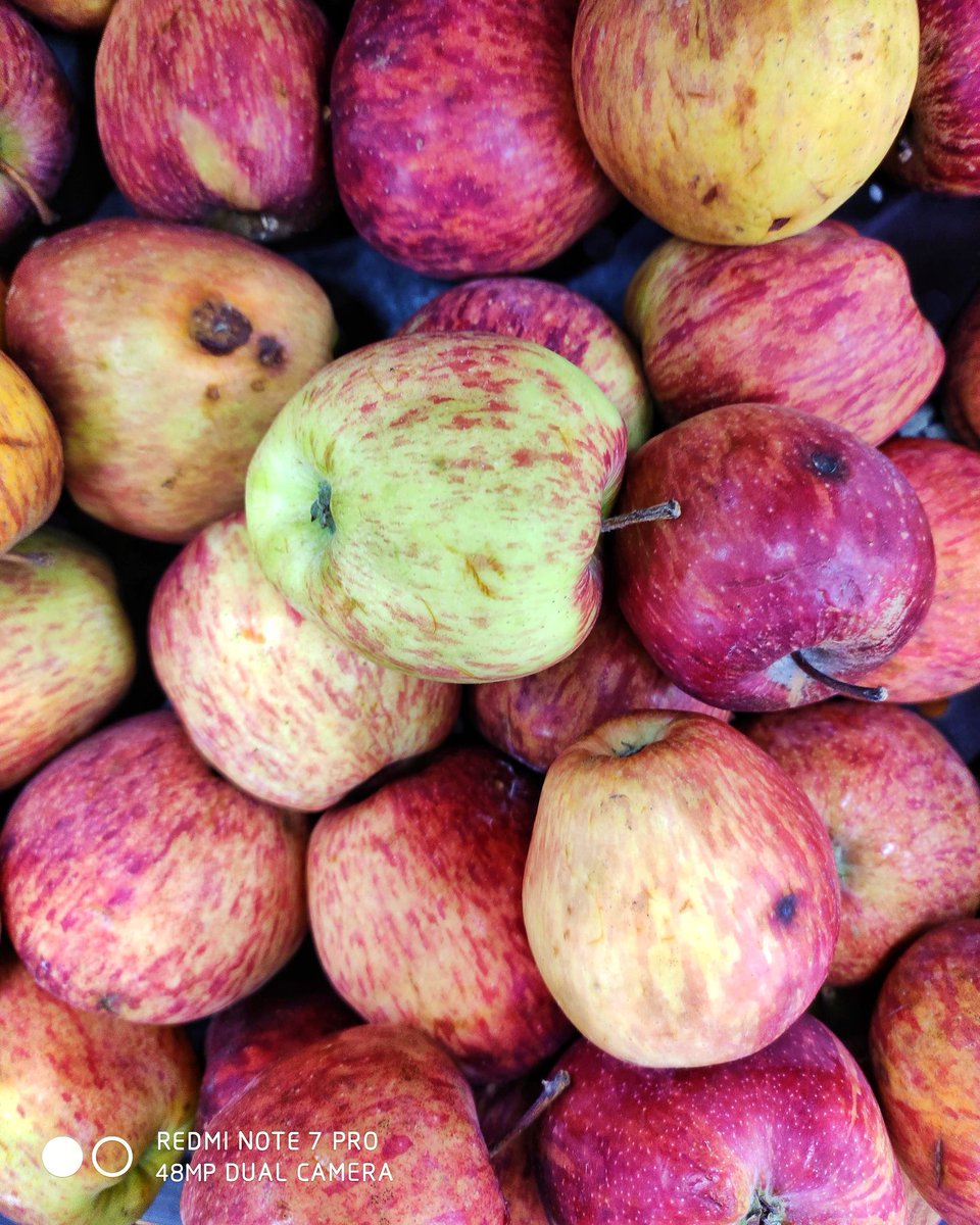 swadesh93's tweet image. An Apple a day keeps the doctor away 🍎🍎🍎😉😉😉

Shot on @redmiindia Note 7 Pro #48mpforeveryone #48MPCAMERABEAST #shotonredmi #shotonmi #fanswithbenefits #redmi #Xiaomi 😍 #redminote7pro