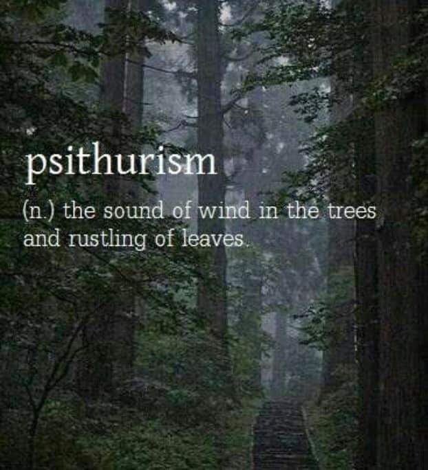 GullInExile's tweet photo. Word of the day.... #sundayvibes #WordOfTheDay https://t.co/c87HtXDC9V