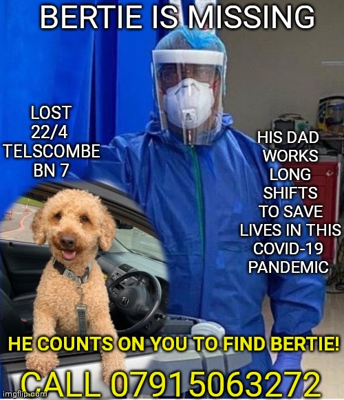 Aggers Mrs 💙 (@aggers_mrs) on Twitter photo <a href="/Coombelands/">Amanda Perrett</a> Hi. Please help to find missing Bertie from Telscombe, last seen on the 22nd April. His owner is an NHS hero working on the frontline. He could be anywhere in the South Downs unless he has been picked up. <a href="/bertie_is/">Bertie is missing</a> 🆘💔🆘💔 Thankyou so much. <a href="/Coombelands/">Amanda Perrett</a> Hi. Please help to find missing Bertie from Telscombe, last seen on the 22nd April. His owner is an NHS hero working on the frontline. He could be anywhere in the South Downs unless he has been picked up. <a href="/bertie_is/">Bertie is missing</a> 🆘💔🆘💔 Thankyou so much.