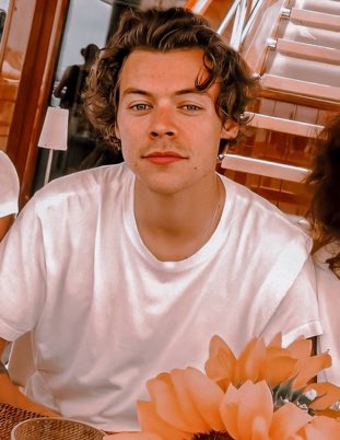 urfavhatesshane's tweet photo. harry styles says fuck shane dawson https://t.co/ivbH26T9FG