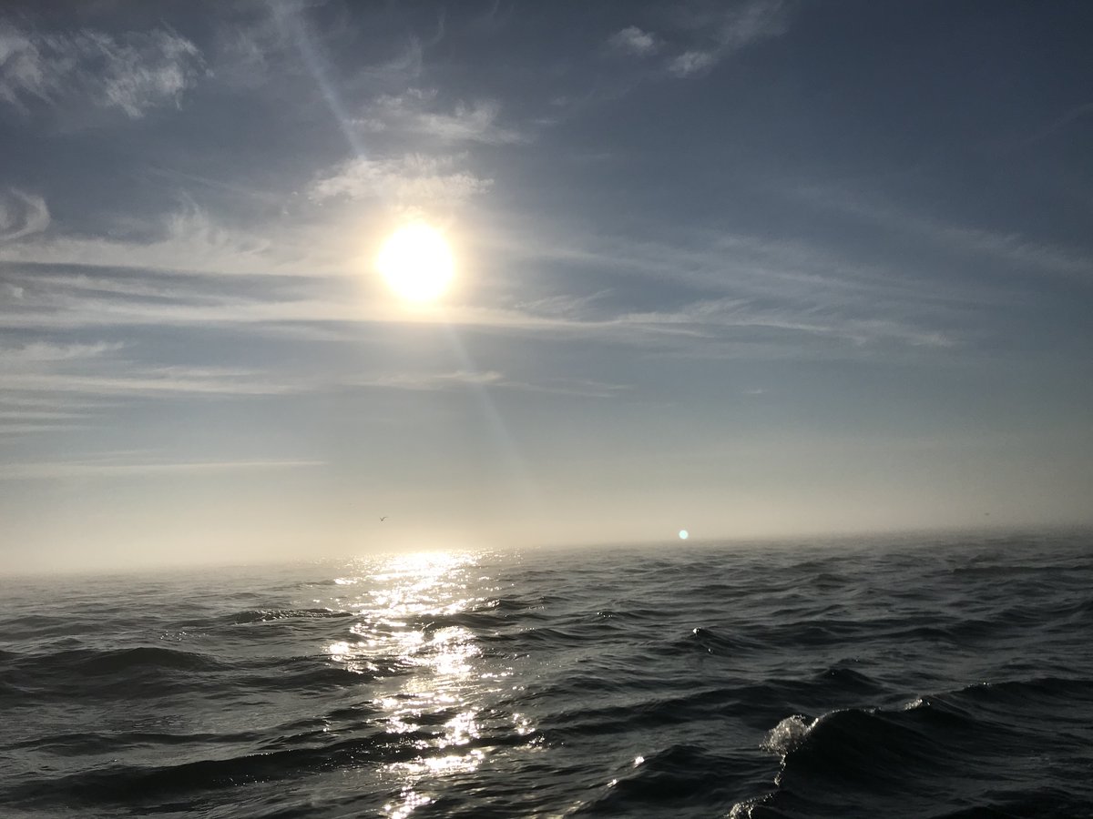 Sunrise....🌅
Always a feast for the eyes.
Nourishes the soul and you're never too old
to bask in the glory of nature and the warmth of sunshine.
🌹❤️🌞
#SundayMorning #sundayvibes #Mindfulness #IAM #MyPhoto #Nantucket #Ocean #nature #sunrise