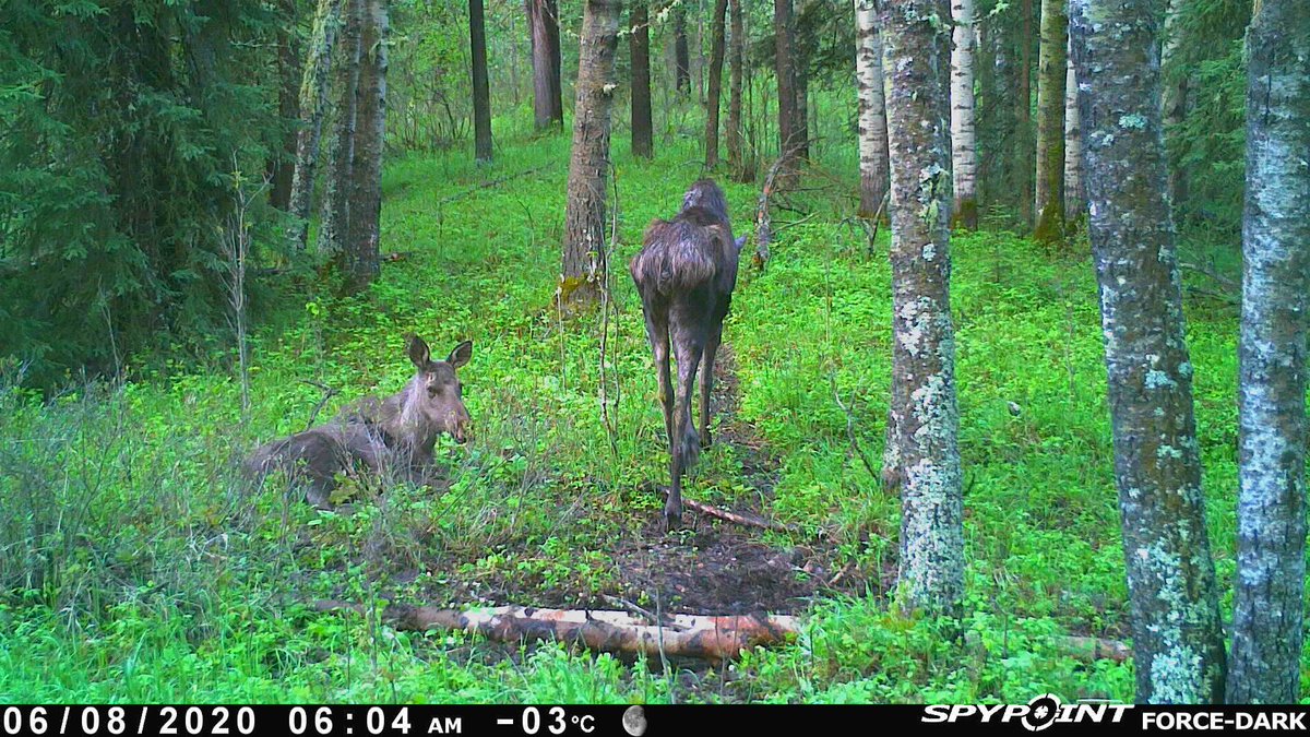 The Thankful Outdoorsman tweet media