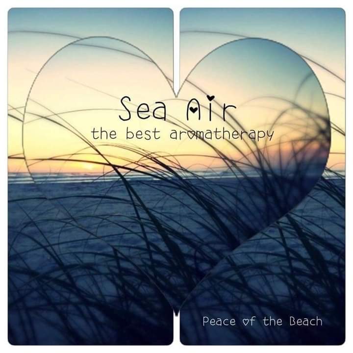GullInExile's tweet photo. What I wouldn't give to be able to be near the sea right now...
#aromatherapy #naturesolution #naturaltherapy #sundayvibes https://t.co/XxrUsXBLdQ