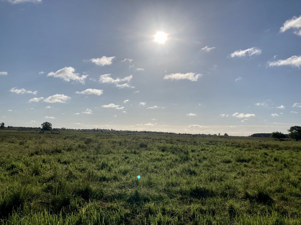 WildAnglia's tweet photo. Mornin all What a difference a day makes, Saturday pre rain 2nd photo this morning Get out + let some nature into your lives, breathe, look listen, give you time, love it. Sorry too preachy but it’s true 😀😀Woofer he’s fine https://t.co/Gr2eDddLIH