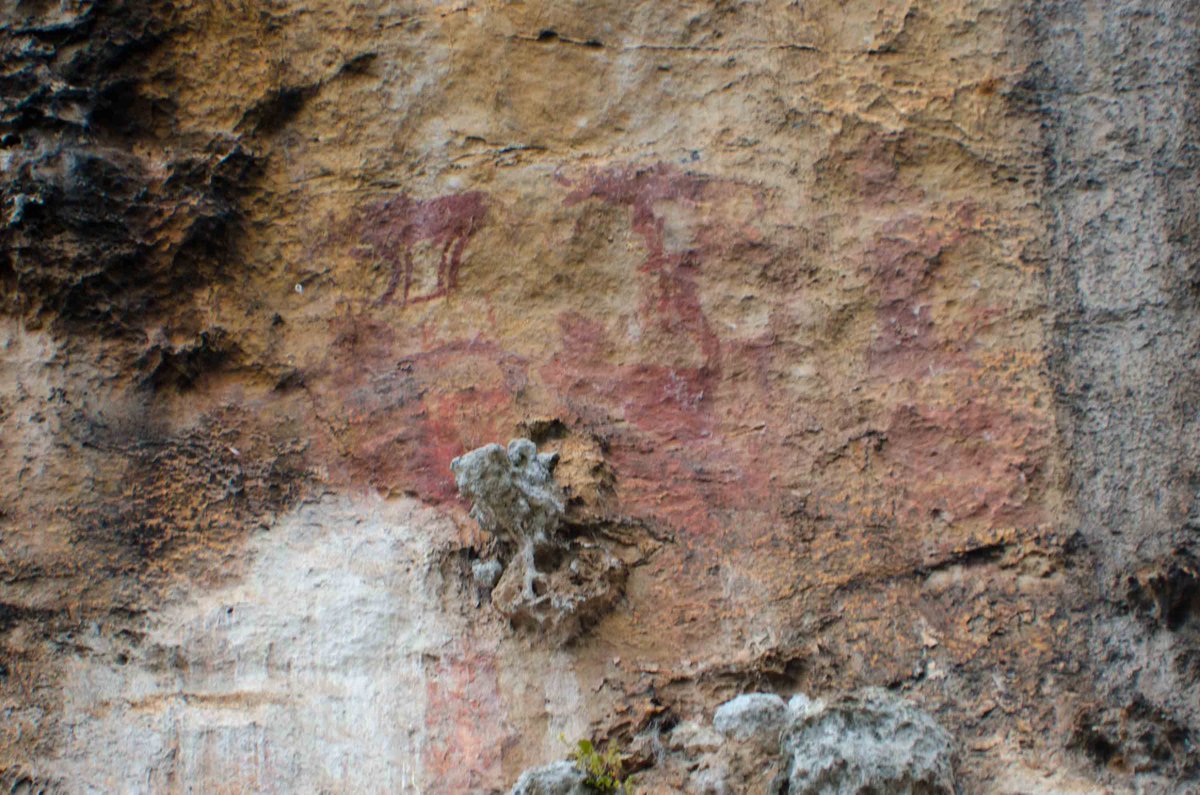 2/18 This research starts in Luang Prabang, Laos: as part of my PhD research I documented the rock art at the Pak Ou Caves, at the junction of the Mekong and Ou Rivers. The green steamship that I posted at the start of the week was from this site. https://doi.org/10.1016/j.ara.2018.01.001
