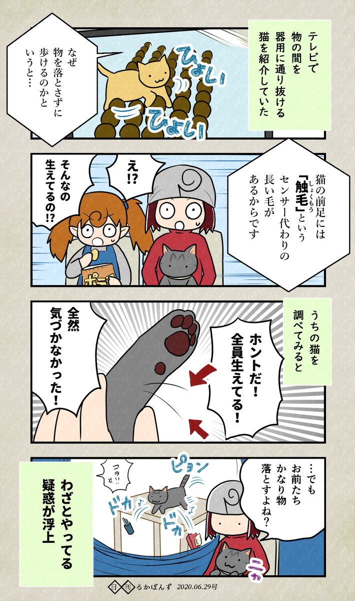 猫の前足に、ナゾの長い毛が生えてる件。

#豆知識マンガ #猫漫画 #猫のいる暮らし 