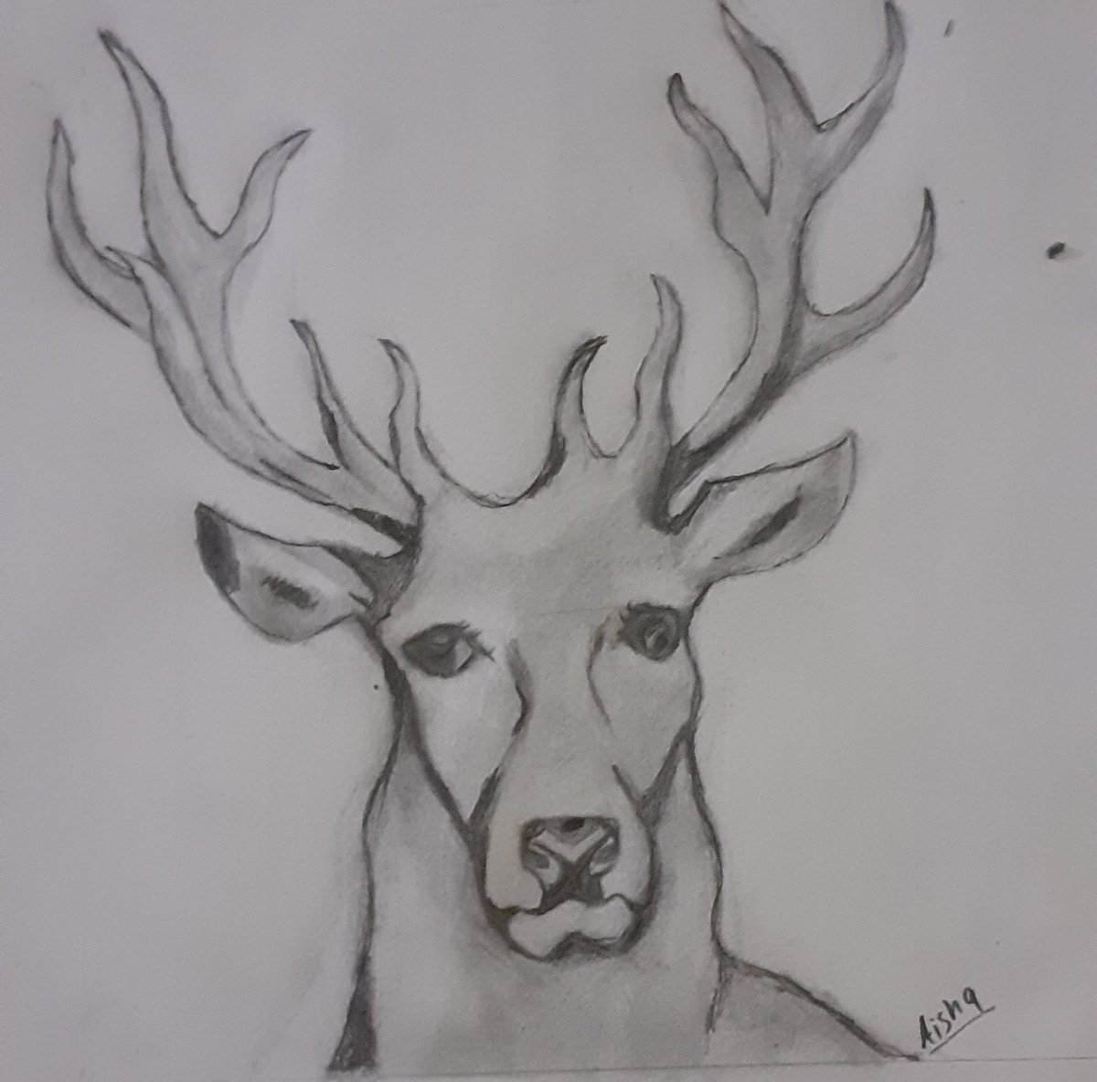 Aisha12098's tweet photo. ...
#drawing #art #Artist #artwork https://t.co/pod9ilR2TR