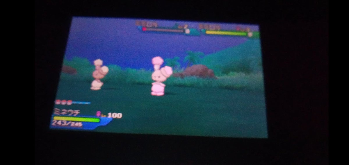 Numakuro 色厳選沼る系配信 低浮上 夢はyoutube Live配信 エペ復帰勢 ププリンの色違い を出すのに成功して 楽しくなってまた仲間呼び連鎖してたら 今度はミミロルの色違いが来ました 笑ピンク色で可愛い 剣盾よりも 野生色違い 出やすくなってる