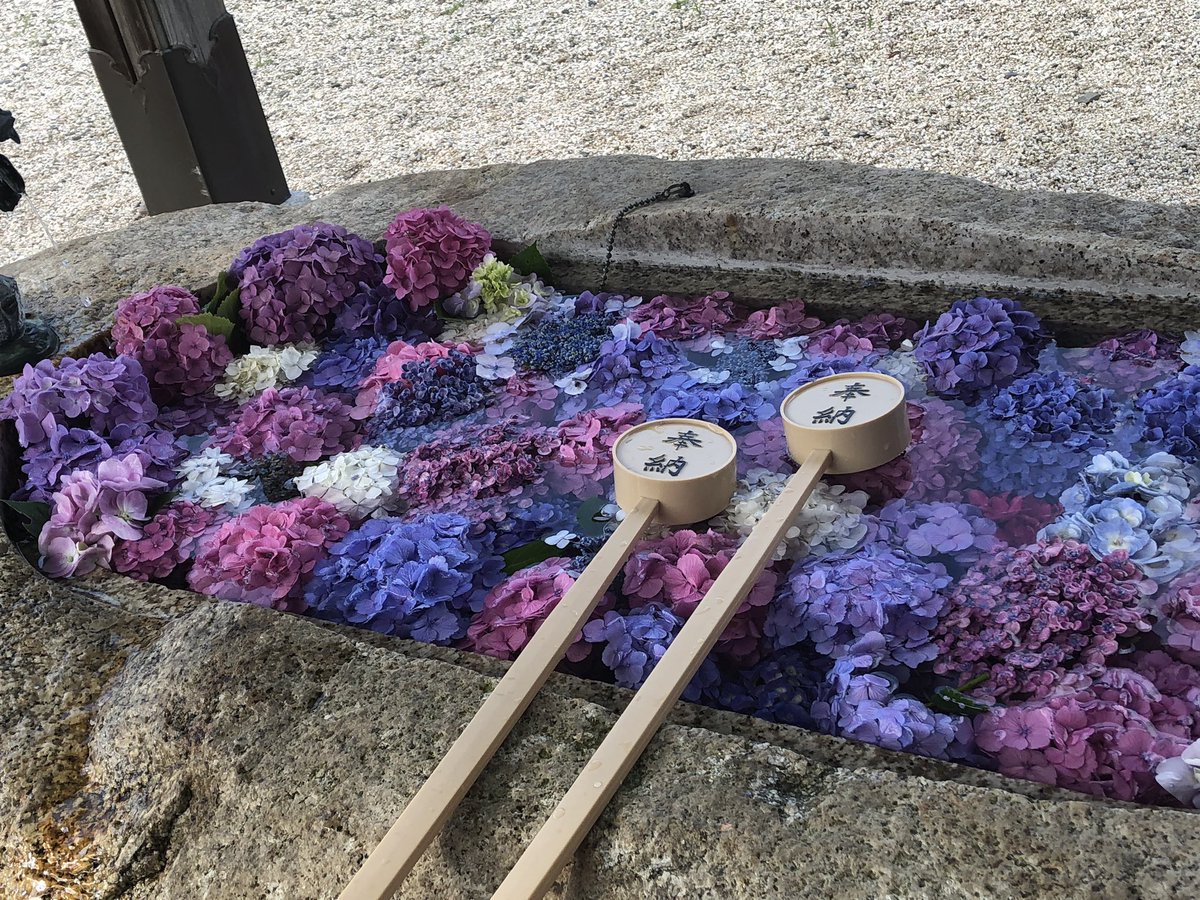 金井 神社 いなべ