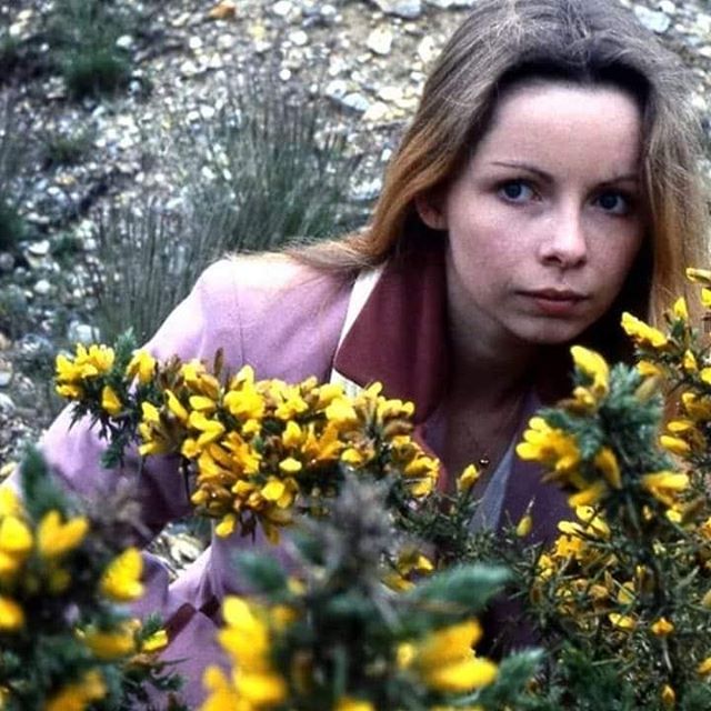 Happy birthday to lalla ward, the best time lord and my all time favourite dw character 