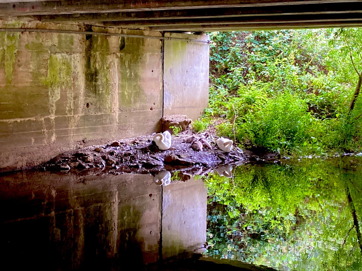 AshfordChaplain's tweet photo. Even in the most unpromising of settings, the underside of a motorway bridge, a family rests today - symbolic of purity, beauty, grace, and love. Have you been surprised by beauty in ugly places? https://t.co/ceEsxflQxE