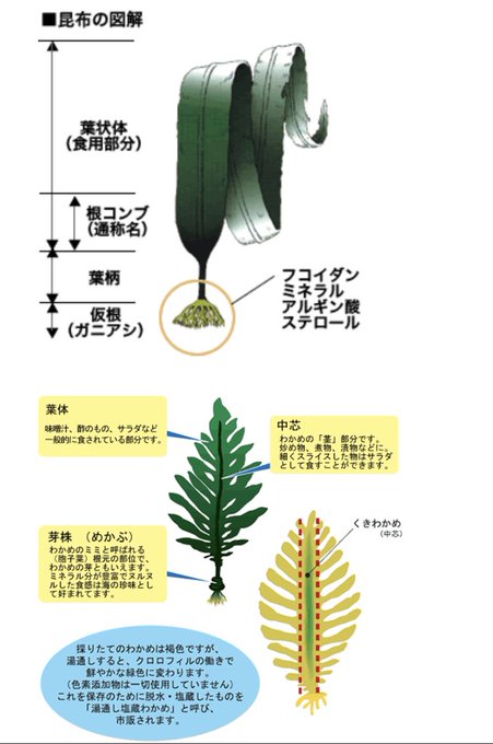 布水着のtwitterイラスト検索結果 古い順 布水着のtwitterイラスト検索結果 古い順