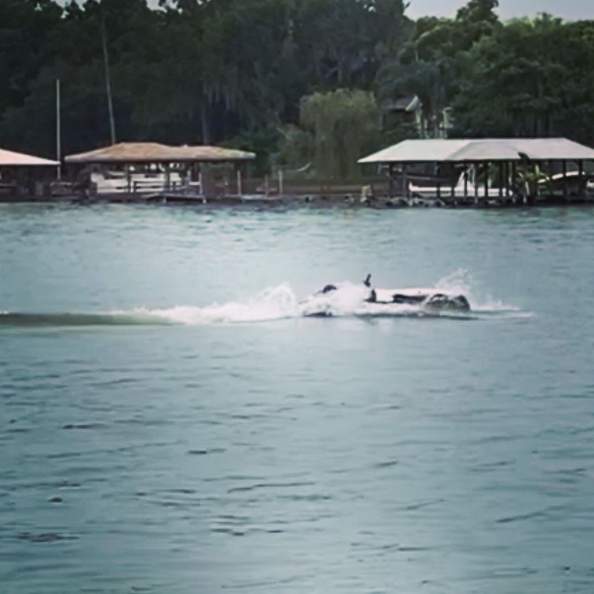 AntonioGarcia_3's tweet photo. Ayer lo bordé... 👀😎🤣. Tragué más agua que en mi vida (!!)

I nailed it yesterday at “Jordan’s waterpark” 👀😎🤣 

#RookieSession #StandUpJetSki #WakeSkateboard https://t.co/RDiKpP10CS