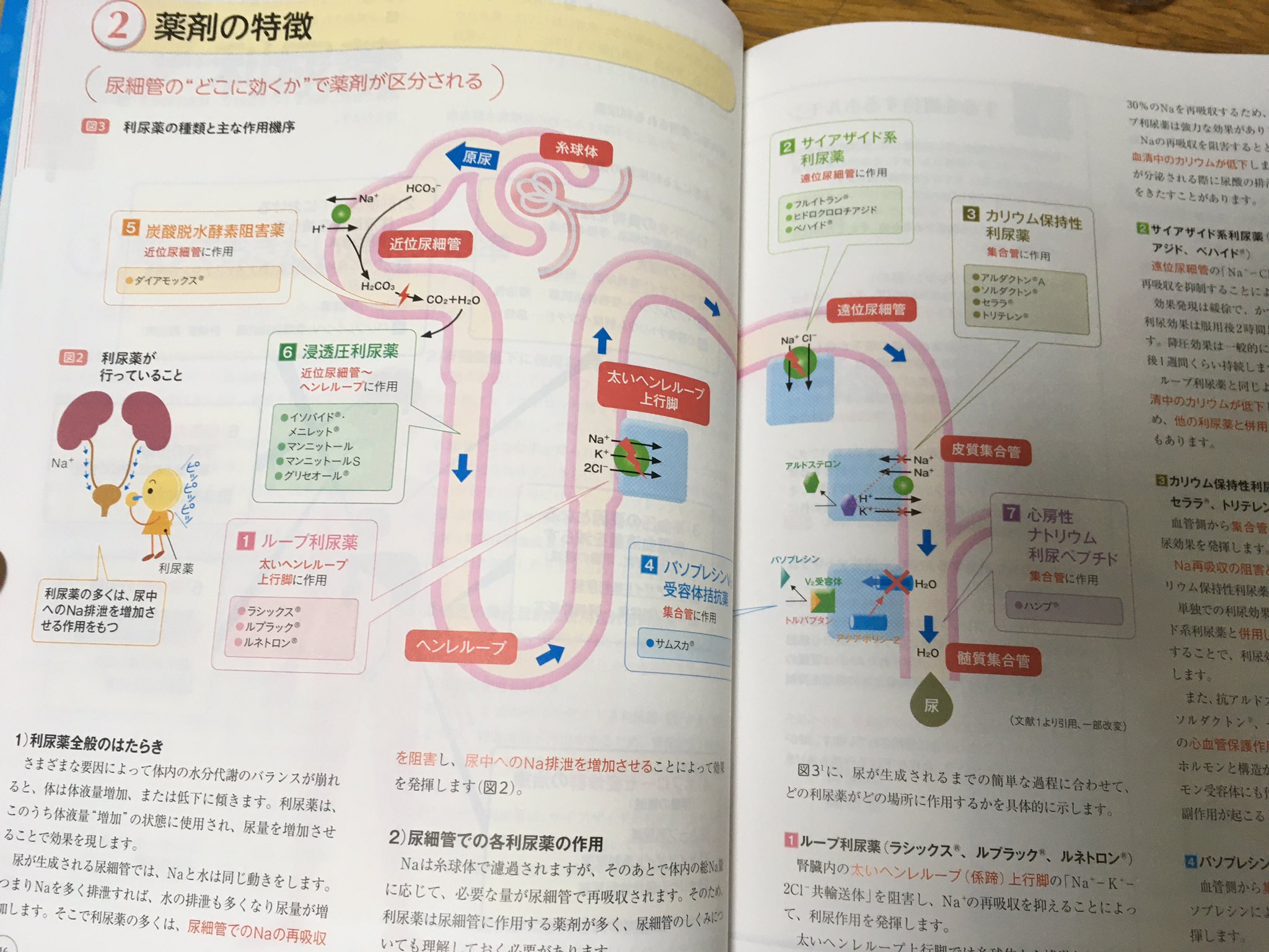 まめっち 81aaa7e215a64f9 Twitter