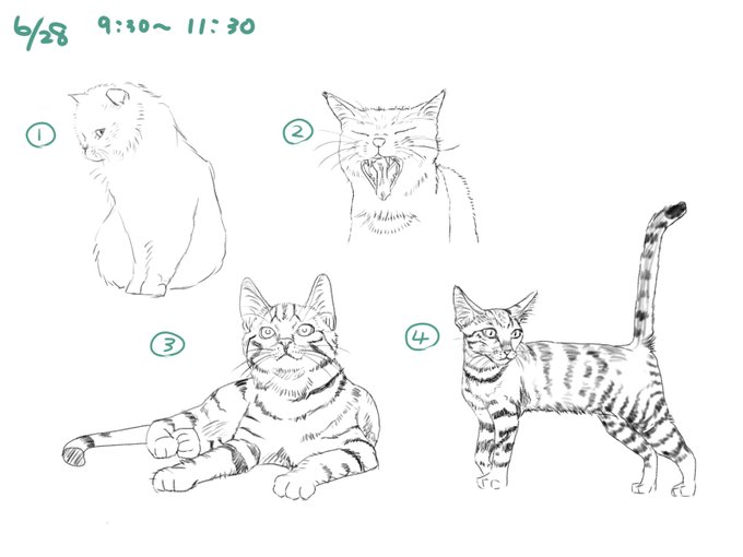 さいとうなおき先生のtwitterイラスト検索結果 古い順 さいとうなおき先生のtwitterイラスト検索結果 古い順