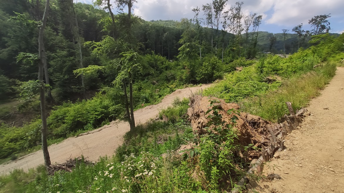 s_moskov's tweet photo. Dugo nisam išao na Sljeme po stazi 14 od tunela prema vrhu. Prvih pola sata staze je za ne prepoznati. Totalna devastacija šume. Ne mogu vjerovati da je baš toliko trebalo iskrčiti.
#Sljeme #Žičara #Bandić #Medvednica #ekocid #devastacija #deforestacija https://t.co/UZEmKMBqXi