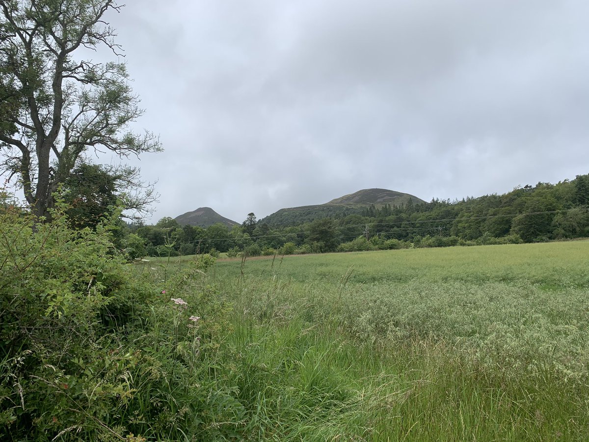 FionaDrane's tweet photo. New walk at Eildon Hall. Yet another different view of the Eildons. #scotlandstartshere #windowonscotland #borders https://t.co/ibv9LtvF2X