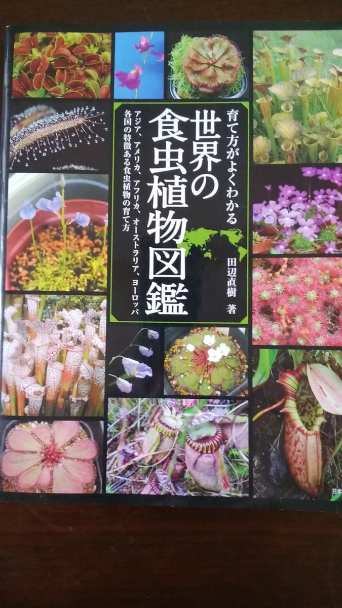 獣神サンダー ライガー Jyushin Thunder Liger 最近僕のツイッターやユーチューブに食虫植物 の育て方や何処に売っているのかとご質問をいただきます 興味がある方はこの本を参考にしてみて下さい 食虫植物を取り扱っているお店も紹介されています 今