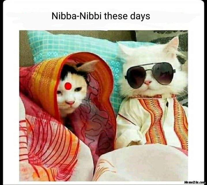 AnkurArtist_'s tweet photo. 🤦‍♂️ 
#memes #MEMES #memesdaily #memes2020 #memer #today #SundayFunday @StyleListings https://t.co/OiCUXbsbzI