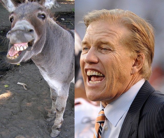 Happy birthday to the talking horse, John Elway. 