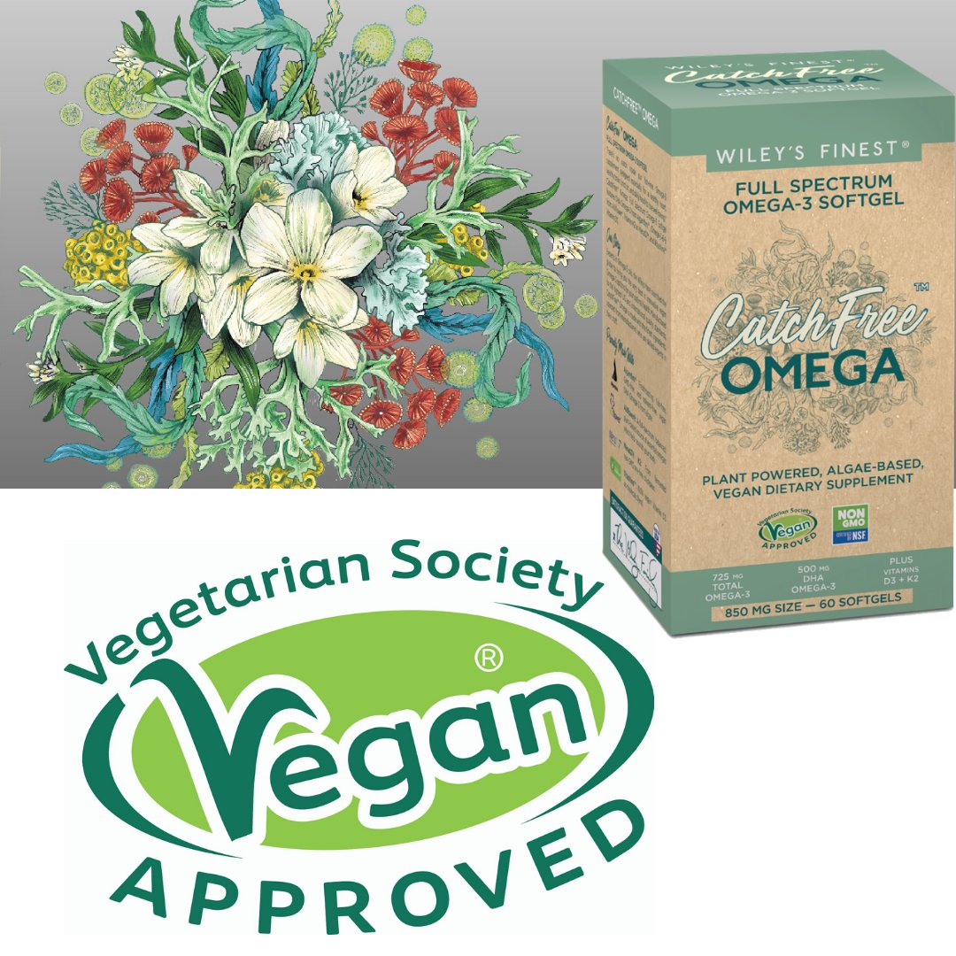 HealthTownUK's tweet photo. CatchFree Omega Full Spectrum Omega-3 Softgel features DHA Omega-3 from Algarithm™️, Omega 3-6-9 from Ahiflower®️, Vitamin K2 as MenaQ7®️ and Vitashine™️ Vitamin D3.
*
*
*
*#omega #vegan #wiley's #wellness #nw6 #westhampstead #westhampsteadpilates #westhampsteadmums
1w https://t.co/W76Pc4qA56