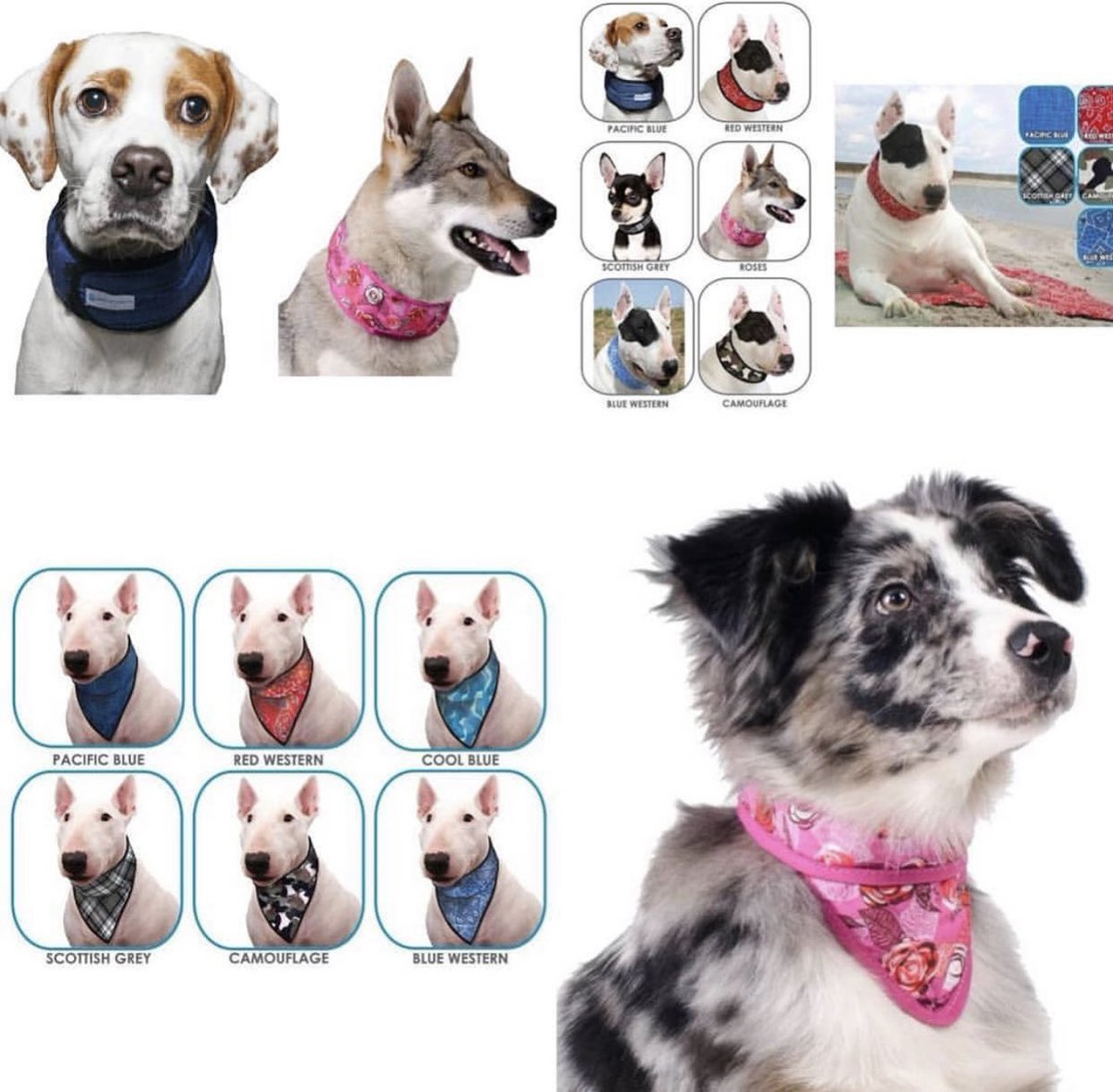 Profiteer vandaag nog van 20% korting op je bestelling met de code: SummER20 bij een besteding vanaf €45!🥳Zoek je nog een koelmat, koelbandana, tuigjes, lijnen, mandjes, zwemvesten, jasjes etc dan ben je bij Cees &amp; Coos aan het goede adres!🐾  ceesencoosshop.nl