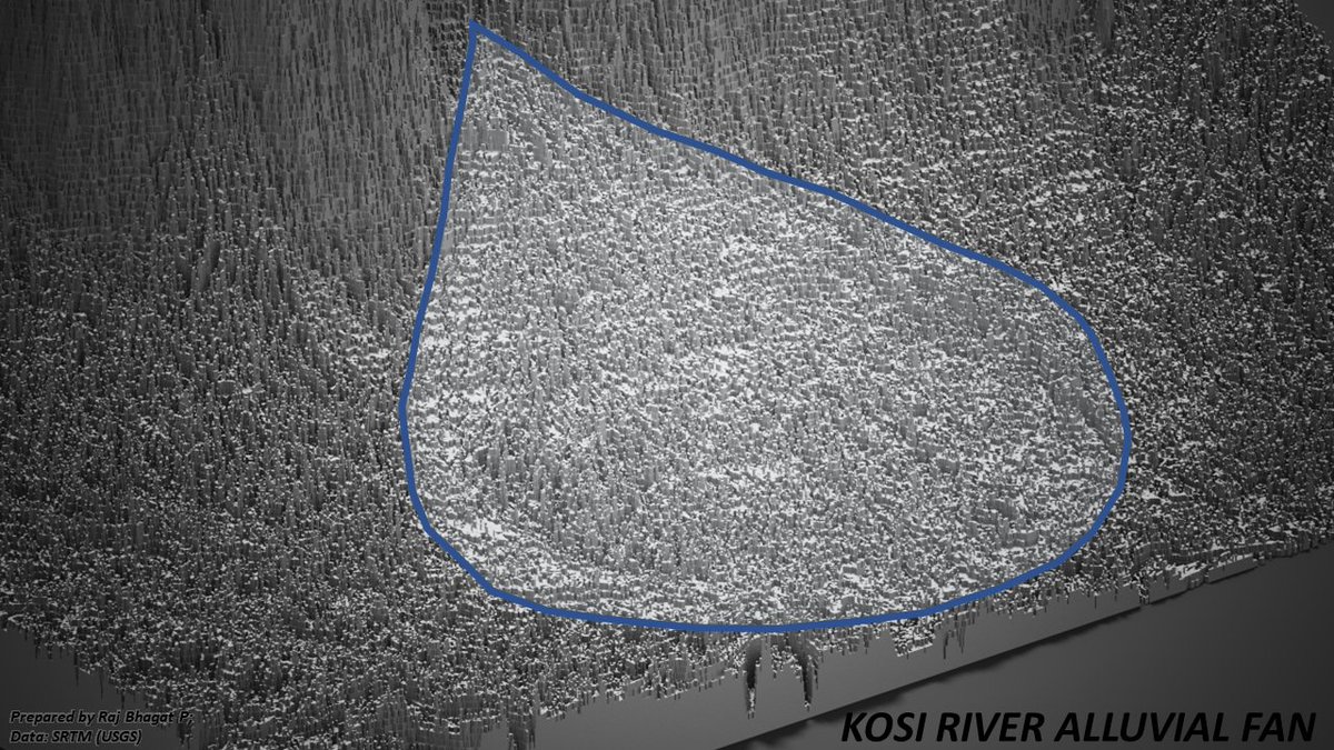 The deposition has led to formation of an alluvial megafan which is d largest of it's kind in the worldExaggerated relief shows this fanWhen the river deposits silt in it's course,the river bed height increases w.r.t neighbouring land n leads the river to change to new course