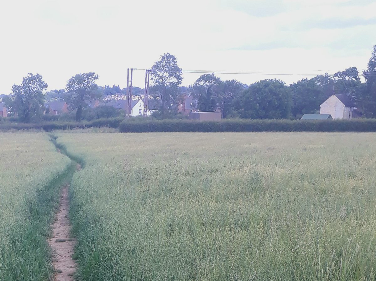 Around Harborough (@aroundharborou1) on Twitter photo 