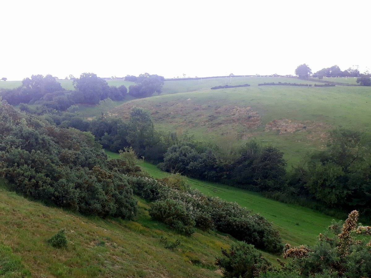 Around Harborough (@aroundharborou1) on Twitter photo 