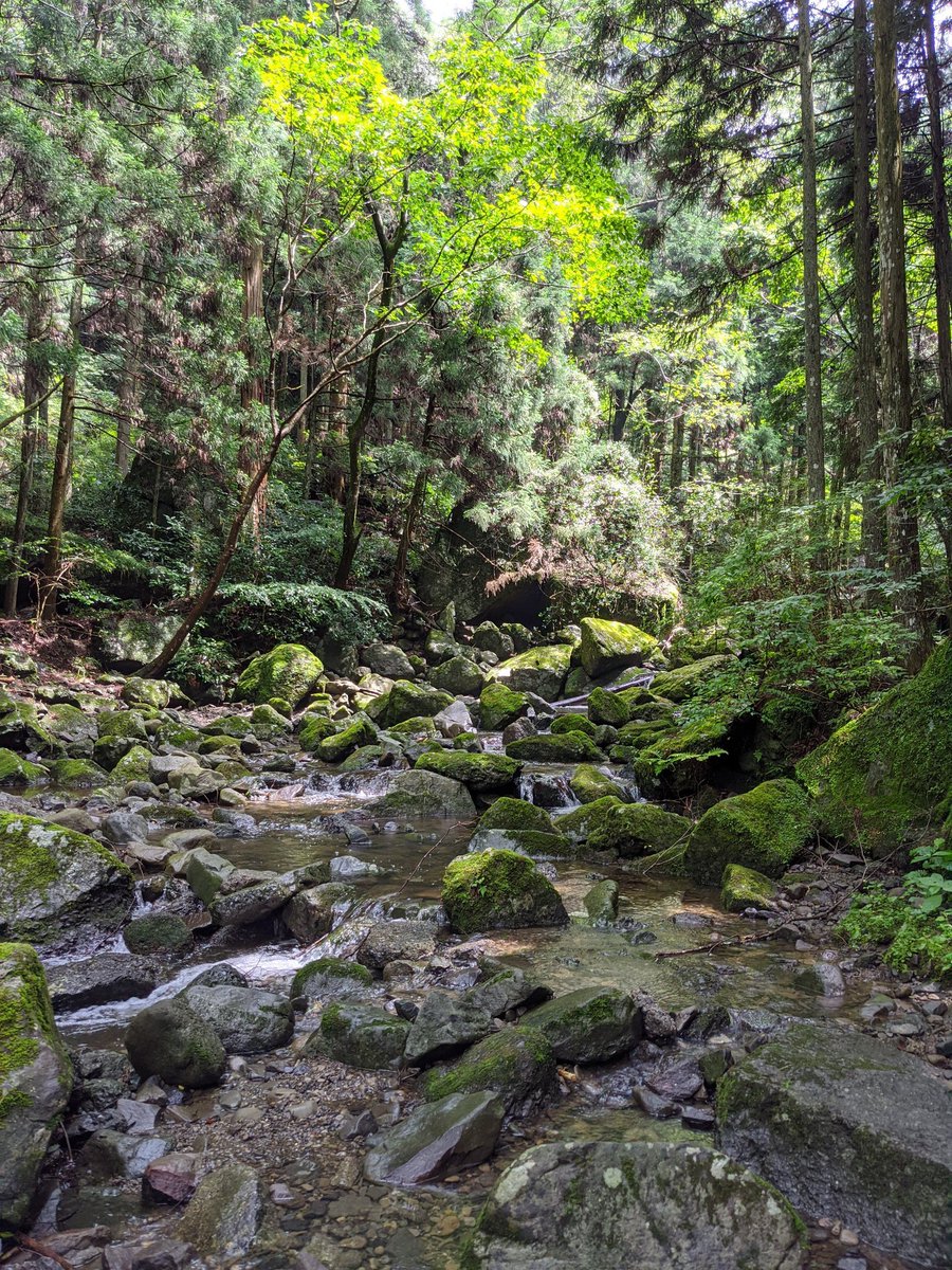 漆黒の森キャンプ場