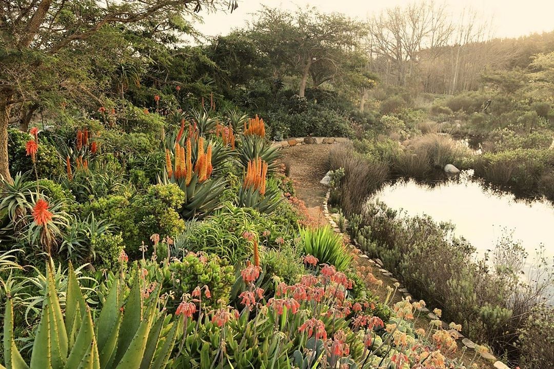 SboschVisio's tweet image. Perfectly peaceful!
“No one saves us but ourselves. No one can and no one may. We ourselves must walk the path.” ― Gautama Buddha
#DylanLewis #SculptureGarden
📸: Dylan Lewis Sculpture Garden