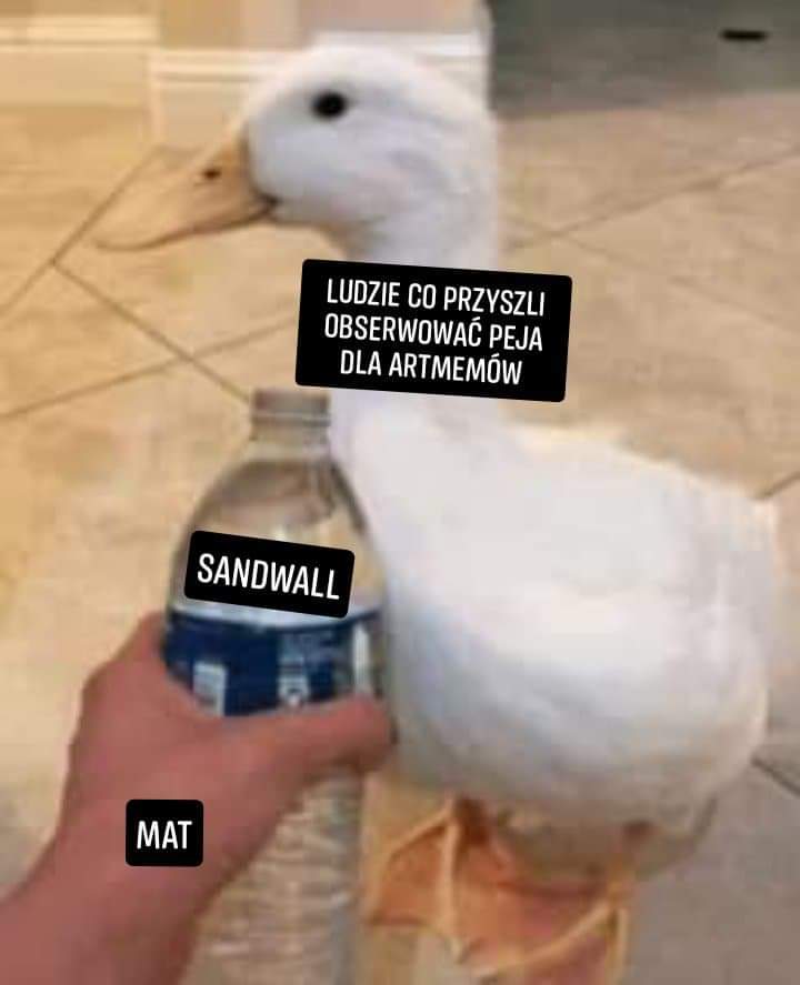 matcchio's tweet photo. #sandwall
Mem dla przyszłych pokoleń https://t.co/P3ayzZ4mc2